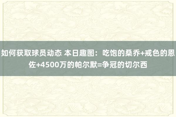 如何获取球员动态 本日趣图：吃饱的桑乔+戒色的恩佐+4500万的帕尔默=争冠的切尔西