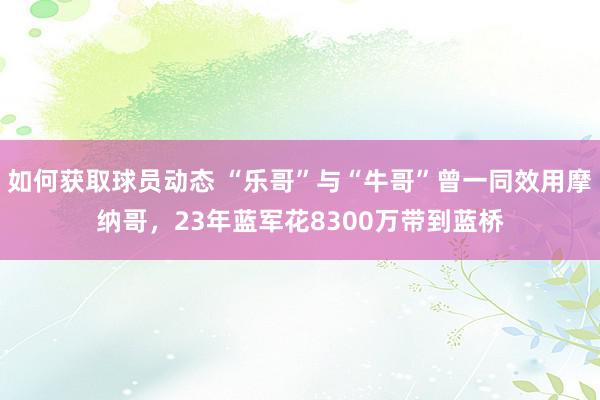 如何获取球员动态 “乐哥”与“牛哥”曾一同效用摩纳哥，23年蓝军花8300万带到蓝桥