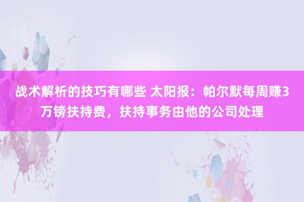 战术解析的技巧有哪些 太阳报：帕尔默每周赚3万镑扶持费，扶持事务由他的公司处理