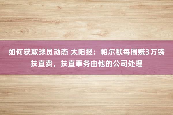 如何获取球员动态 太阳报：帕尔默每周赚3万镑扶直费，扶直事务由他的公司处理