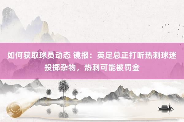 如何获取球员动态 镜报：英足总正打听热刺球迷投掷杂物，热刺可能被罚金