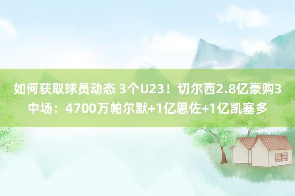 如何获取球员动态 3个U23！切尔西2.8亿豪购3中场：4700万帕尔默+1亿恩佐+1亿凯塞多