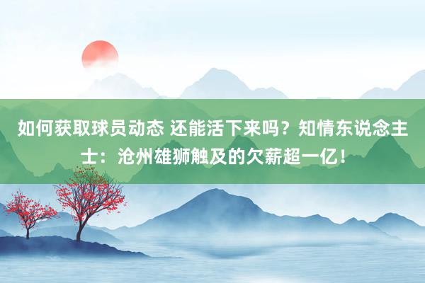 如何获取球员动态 还能活下来吗？知情东说念主士：沧州雄狮触及的欠薪超一亿！