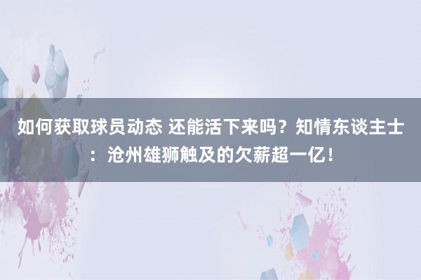 如何获取球员动态 还能活下来吗？知情东谈主士：沧州雄狮触及的欠薪超一亿！