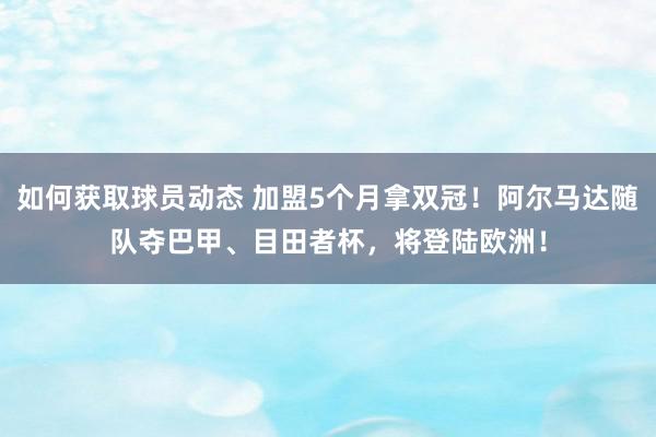 如何获取球员动态 加盟5个月拿双冠！阿尔马达随队夺巴甲、目田者杯，将登陆欧洲！