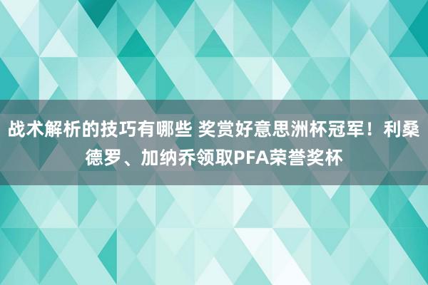 战术解析的技巧有哪些 奖赏好意思洲杯冠军！利桑德罗、加纳乔领取PFA荣誉奖杯