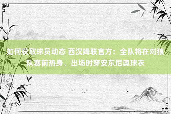 如何获取球员动态 西汉姆联官方：全队将在对狼队赛前热身、出场时穿安东尼奥球衣